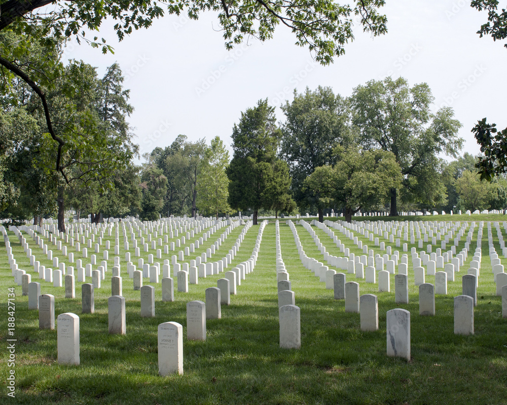 White headstones on a green field in Arlingtpn National Cemetery.