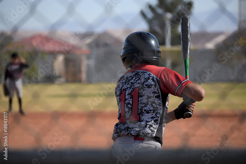 baseball batter, viewed through fence