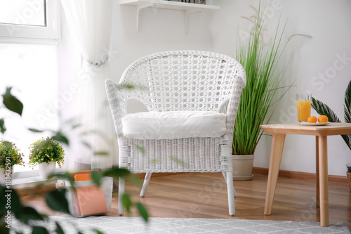 Elegant living room interio...