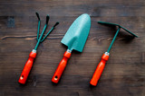 Gardening tools: spade, fork, hand cultivator, hoe on dark wooden background top view