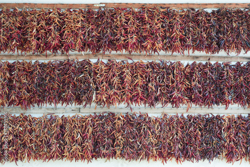 Obraz na płótnie Background with traditional Hungarian dried pepper w salonie