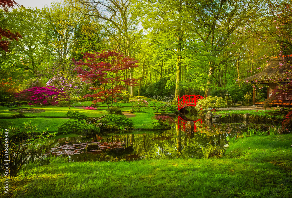 Japanese garden in spring Japanese garden in spring