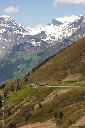 Green train going up in Swill Alps