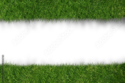 grass with white line