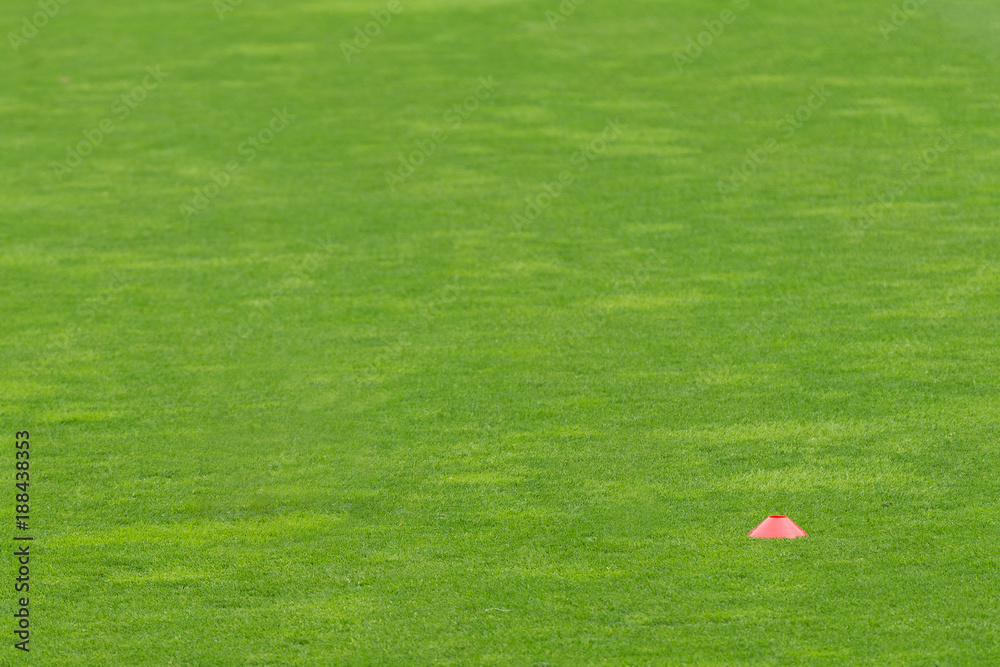 Background: grass training field