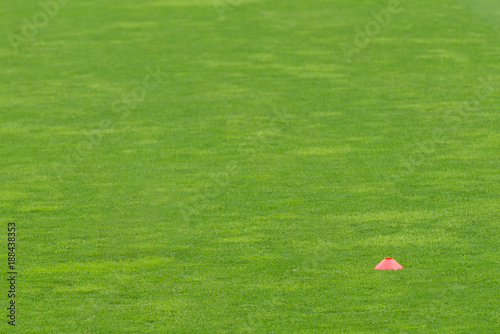 Background: grass training field