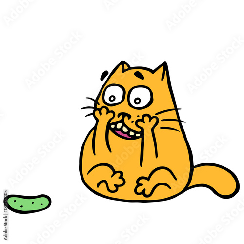 Cute cat turned and was frightened of the terrible cucumber. Vector illustration