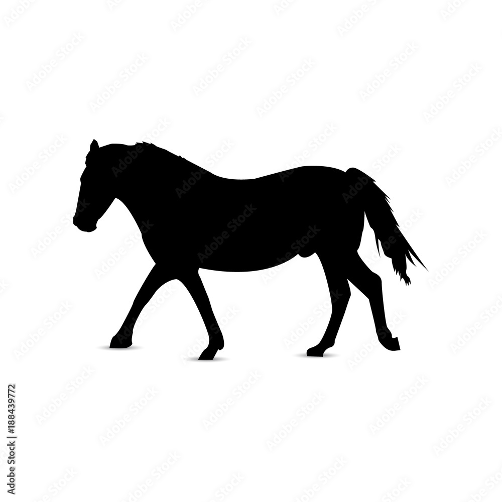 Silhouette of running horse in profile. Silhouette of running horse in profile.