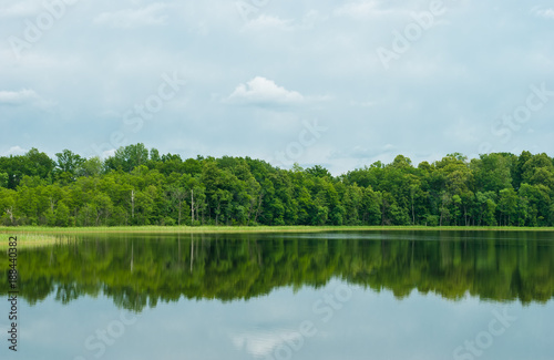 Deciduous forest is reflected in a water smooth surface of the lake. Latgale (Latvia)