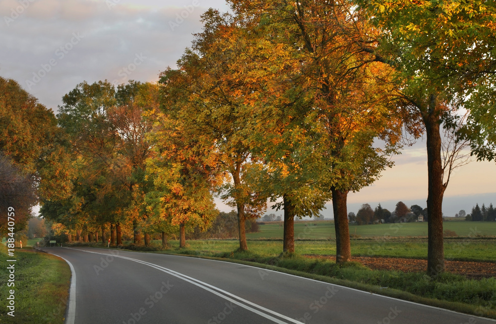 Road near Moniatycze. Poland