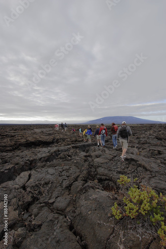 Lava rock landscape with group of tourists, Punta Moreno, Isabela island, Galapagos Islands, Ecuador