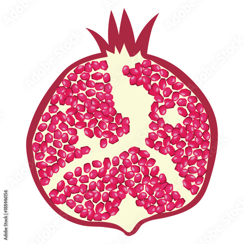 Flat design icon of Pomegranate in ui colors