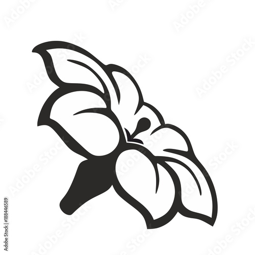 Blume1601a