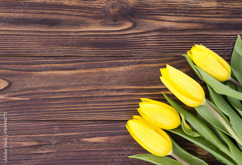  beautiful yellow tulips on wooden background