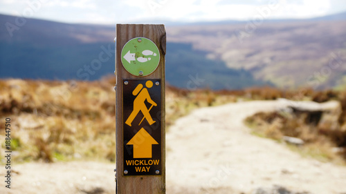 Quadro em tela Wicklow Way Sign.
