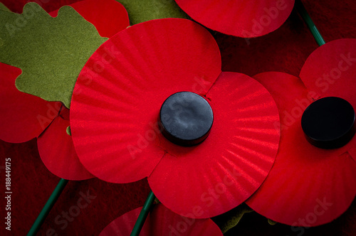 Foto Remembrance day in the UK and salute to veterans of the armed forces concept wit