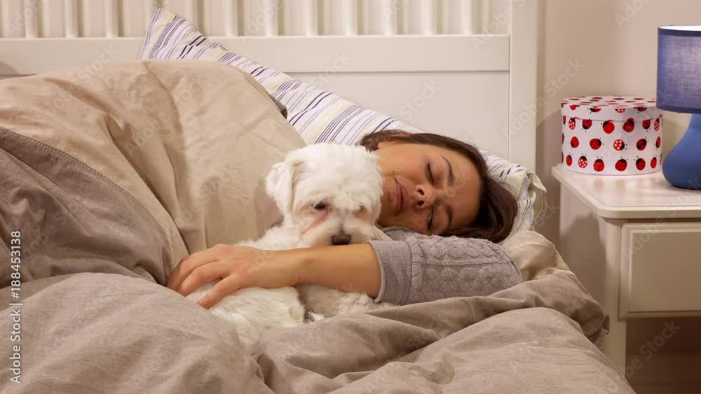 Cute puppy dog licking woman sleeping in bed Cute puppy dog licking woman sleeping in bed