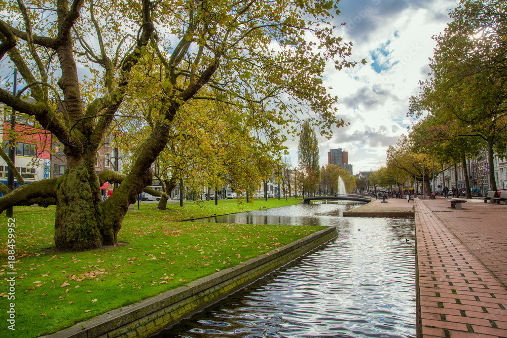 Rotterdam city center park in Netherlands in November 6, 2017