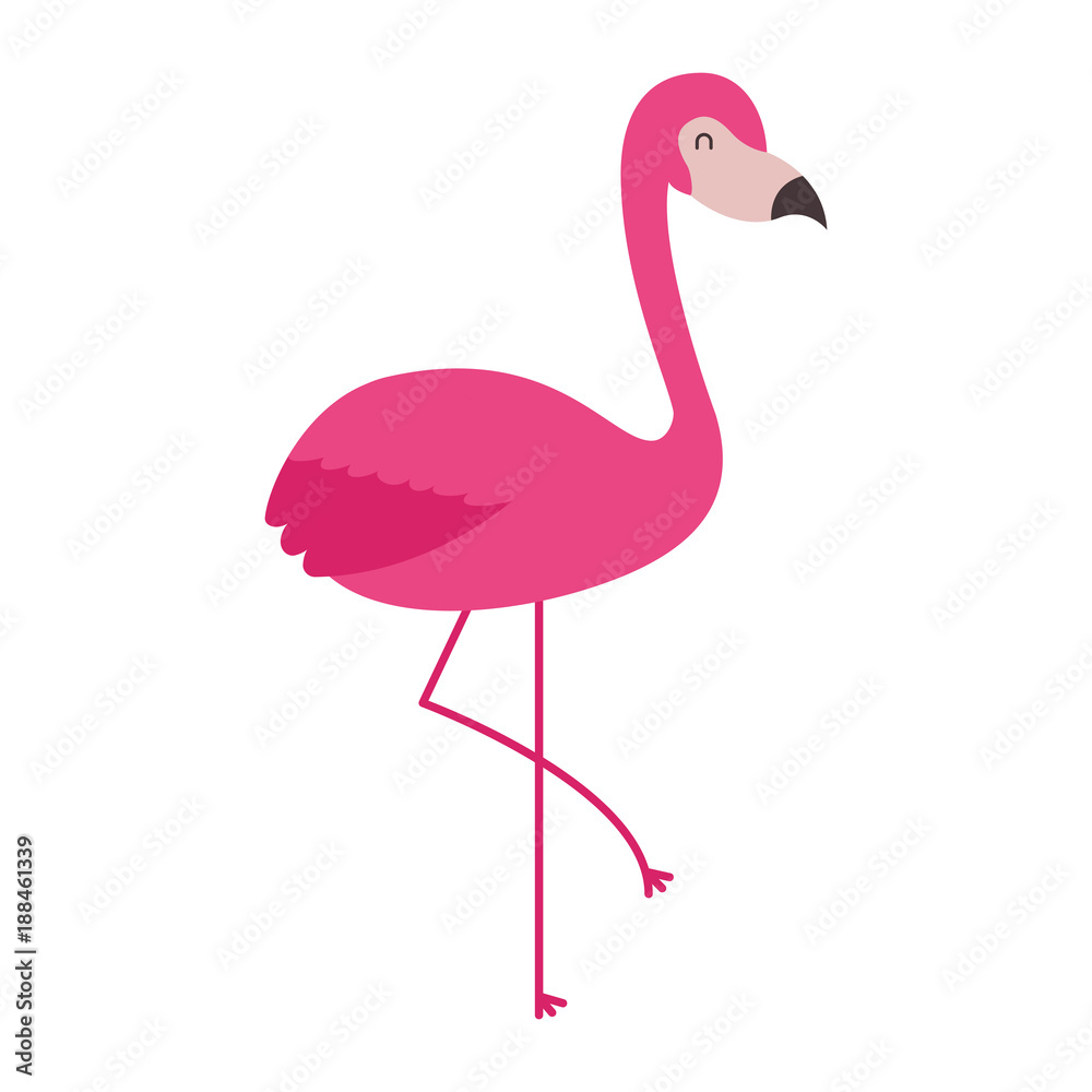 pink flamingo bird exotic image vector illustration pink flamingo bird exotic image vector illustration