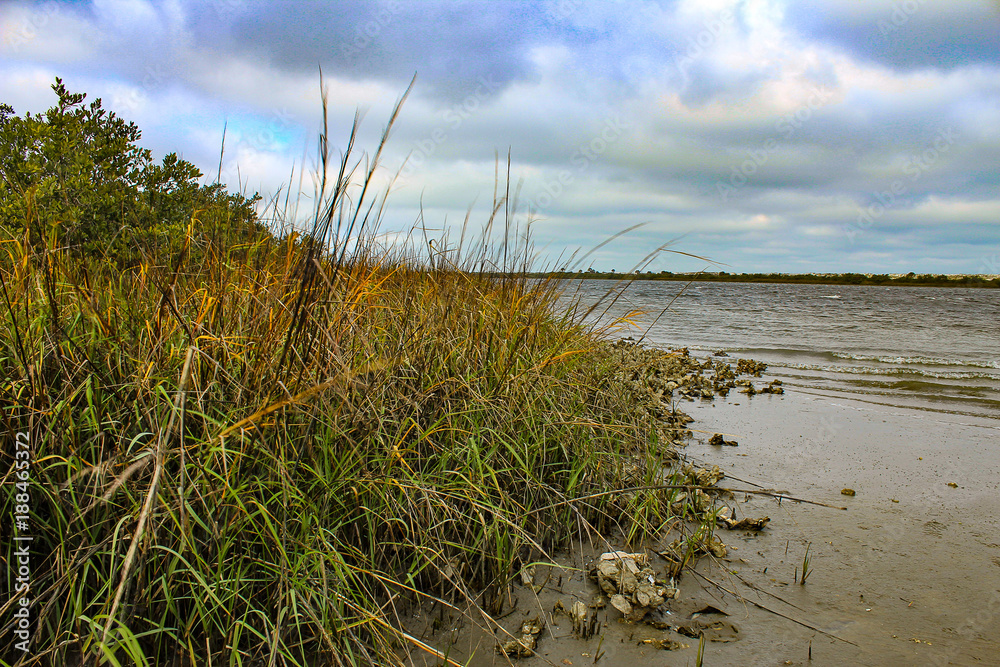 Beach Oats