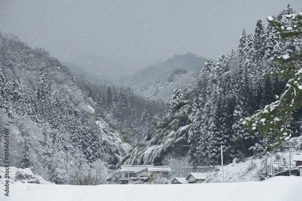 Fototapeta premium 里山の雪景色