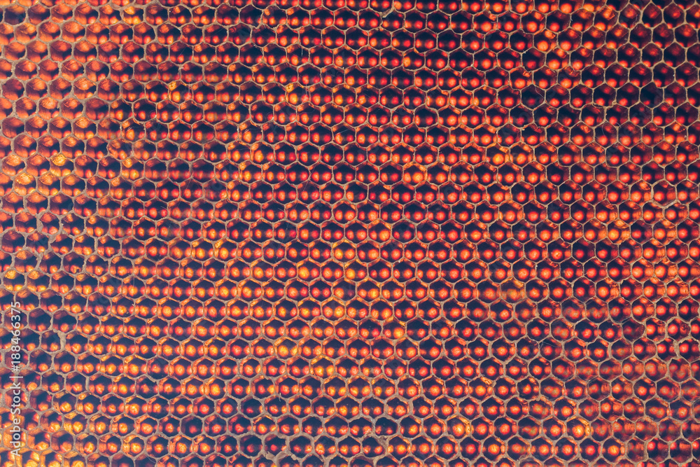 honeycomb texture background honeycomb texture background