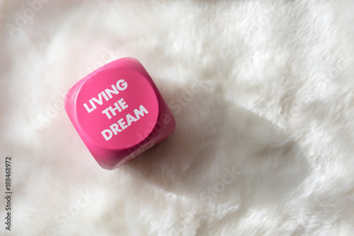 Pink sign with white lettering that says "Living the Dream"