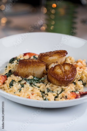 Scallop Risotto
