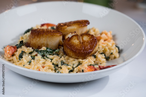 Scallop Risotto