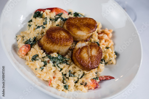 Scallop Risotto