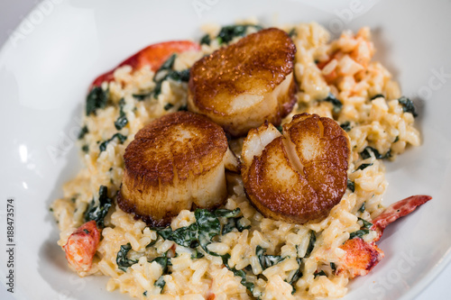 Scallop Risotto