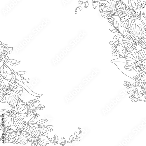 Ornamental flowers on white background