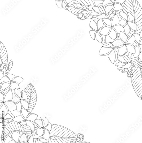 Ornamental flowers on white background