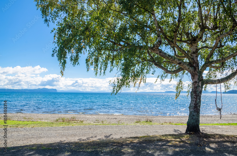 Beautiful beach side of Lake Taupo in New Zealand. Beautiful beach side of Lake Taupo in New Zealand.