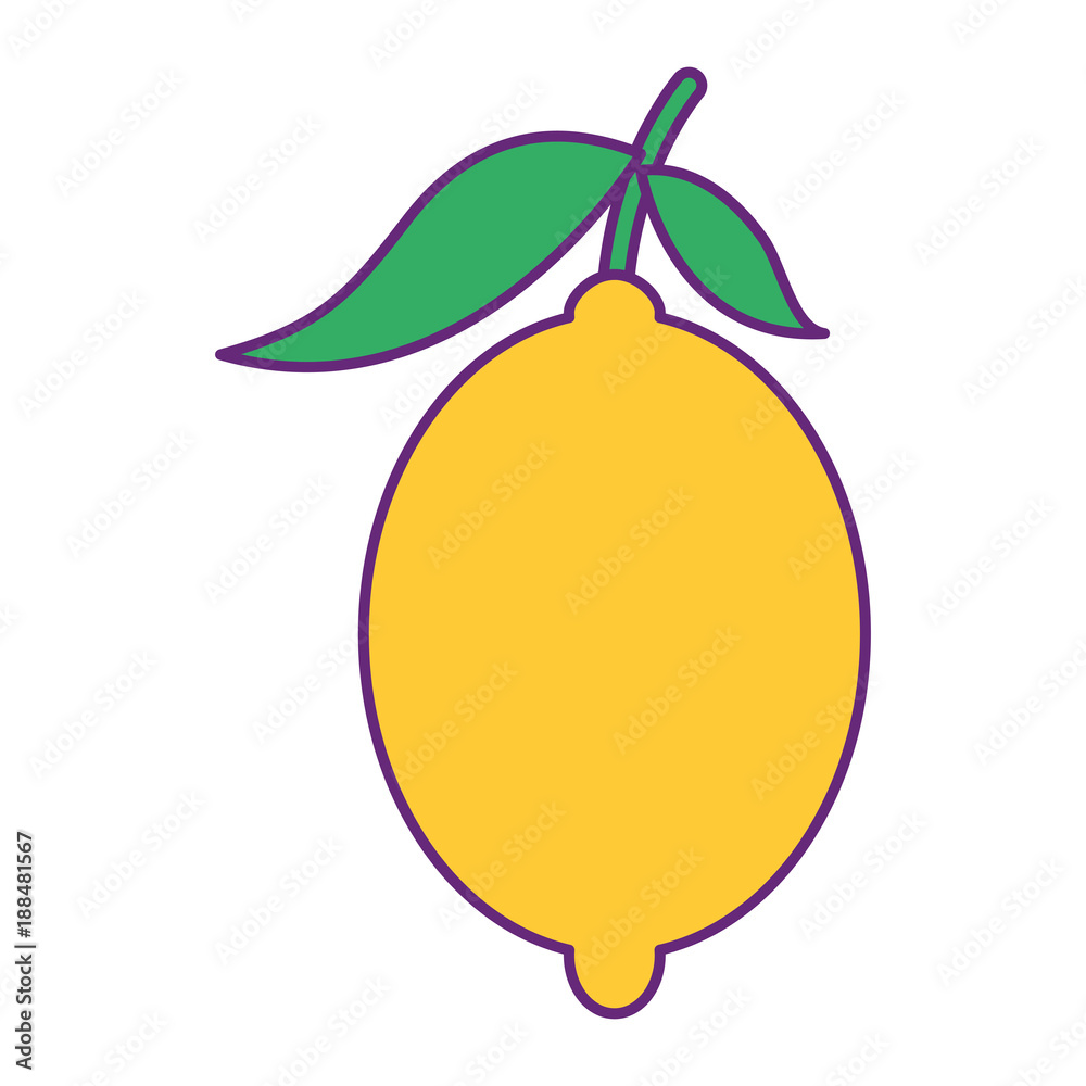 fresh citrus fruits whole and leaves lemon vector illustration fresh citrus fruits whole and leaves lemon vector illustration