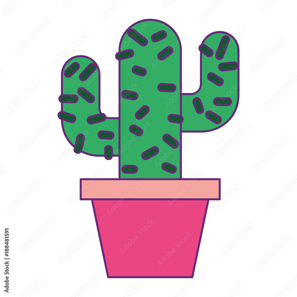 potted cactus natural decoration ornament vector illustration potted cactus natural decoration ornament vector illustration