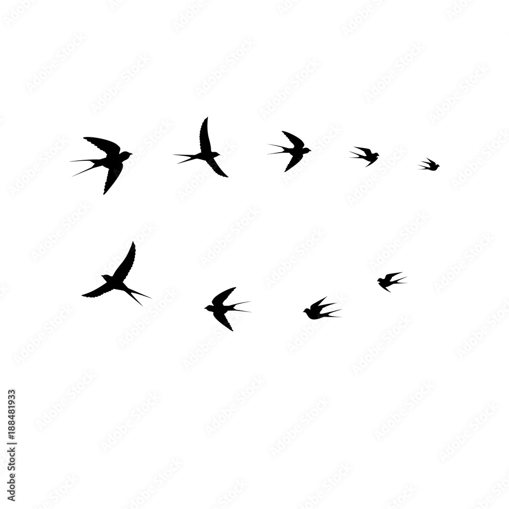 bird vector, birds flock bird vector, birds flock