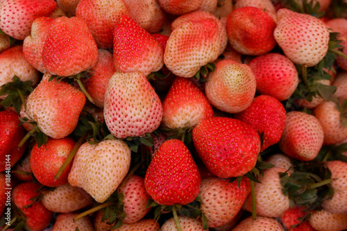 Strawberry fruit in Asia.
