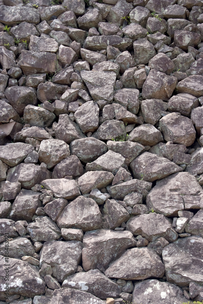 Obraz premium japan imege