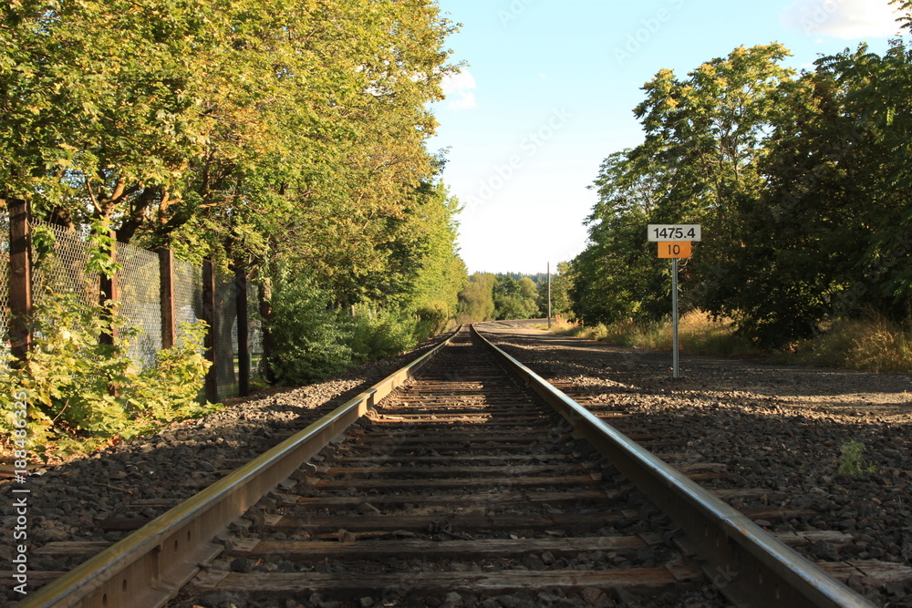 Fototapeta premium TRAIN TRACKS