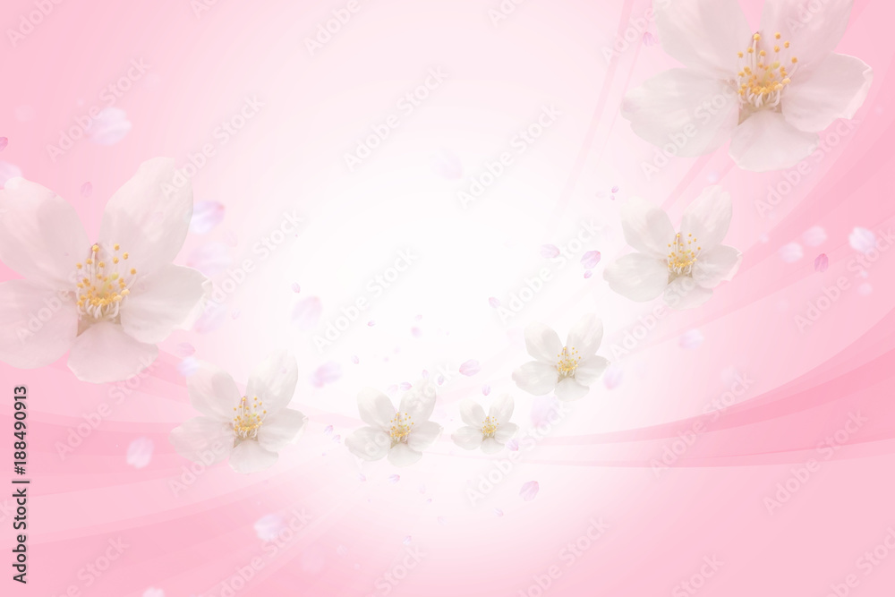 桜の背景 春イメージ
