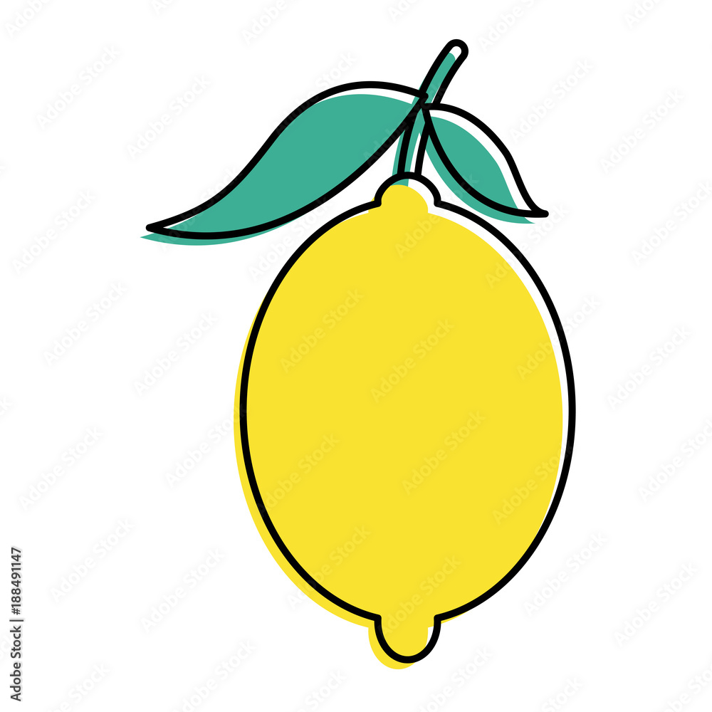 fresh citrus fruits whole and leaves lemon vector illustration fresh citrus fruits whole and leaves lemon vector illustration