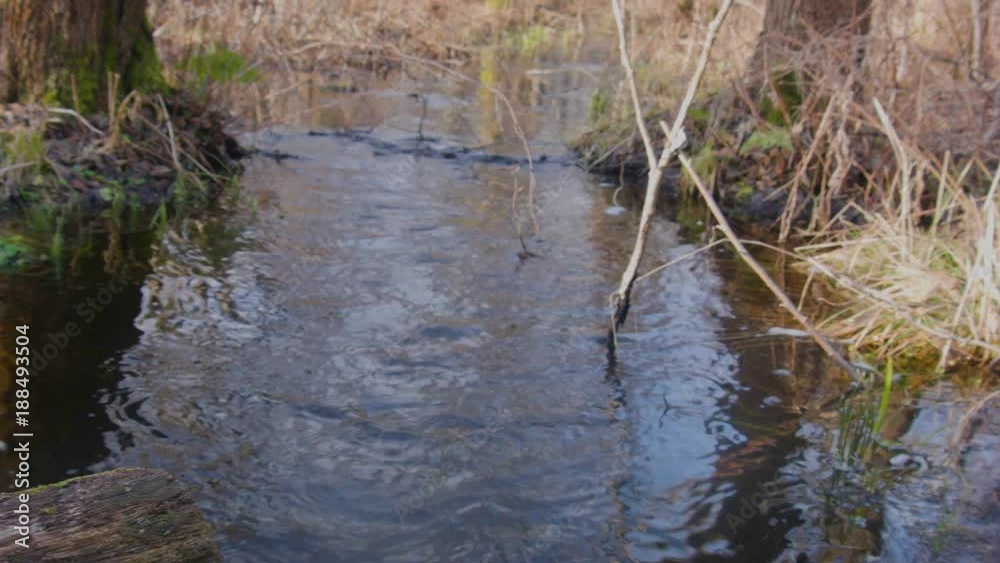 Reflected blue sky in a small river, springtime coming Reflected blue sky in a small river, springtime coming