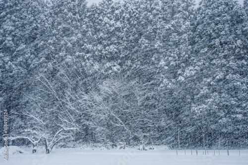 雪景色 冬イメージ 