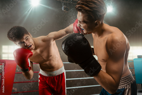 Boxing sparring boxers © VIAR PRO studio