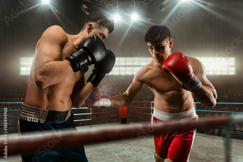 Boxing sparring boxers photo