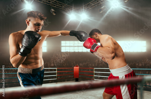 Boxing sparring boxers photo