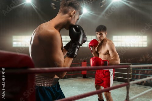 Tableau sur toile Boxing sparring boxers