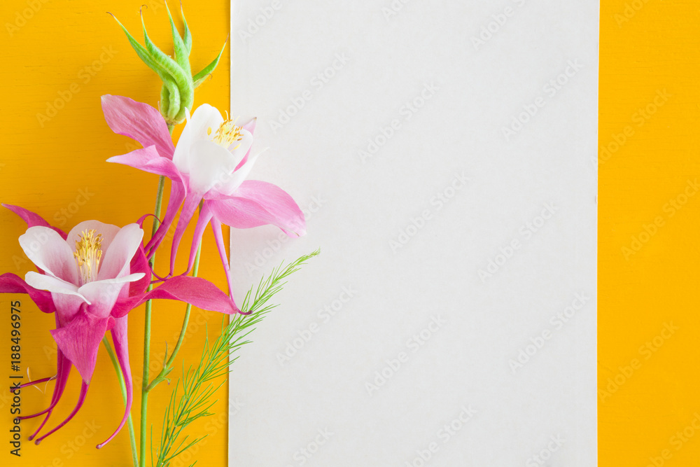 White blank greeting card with flowers on the yellow background. Empty  place for text. Stock Photo | Adobe Stock