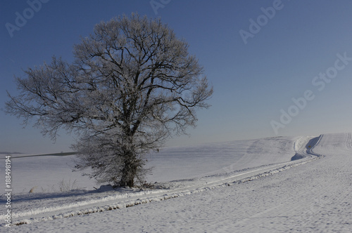 neige hiver froid gel paysage